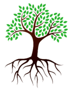 Organic Roots Logo Tree 150+183